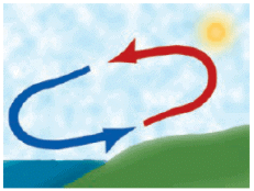 NCERT Exemplar Solutions: Winds, Storms & Cyclones | Science Olympiad Class 7