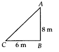 NCERT Exemplar Solutions: Triangles | Mathematics (Maths) Class 7 (Old NCERT)