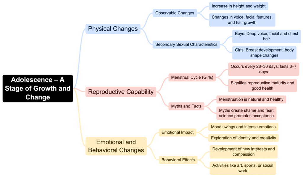 Class 7 Science Chapter 6 Mindmap - Adolescence: A Stage of Growth and Change