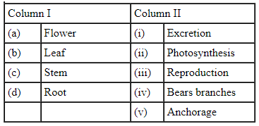 NCERT Exemplar Solutions: Getting to know plants | Science for Class 6