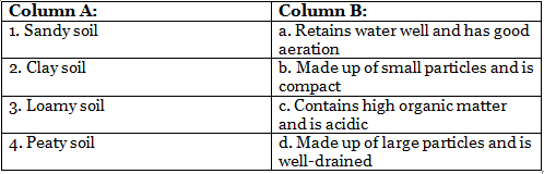 Worksheets With Solutions: Soil Class 3 Worksheet Science