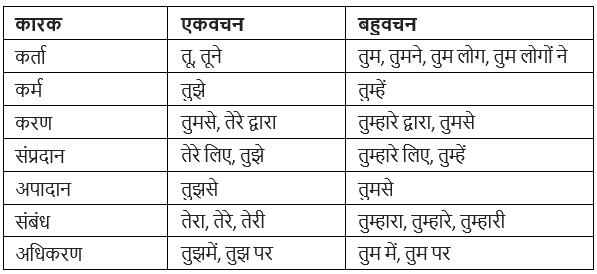सर्वनाम | Hindi Grammar for Class 6