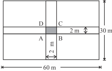 Maths Olympiad Previous Year Paper -3 | Maths Olympiad Class 6