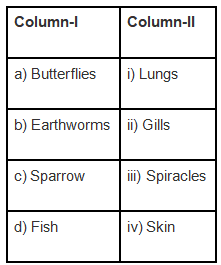NCERT Exemplar Solutions: Respiration in Organisms | Science Class 7 (Old NCERT)
