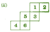 NCERT Solutions for Class 7 Maths - Visualising Solid Shapes- 1