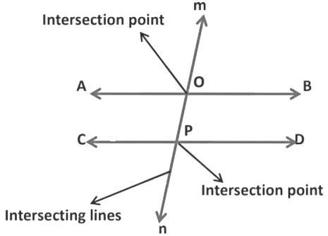 Lines and Angles Class 7 Notes Maths Chapter 6