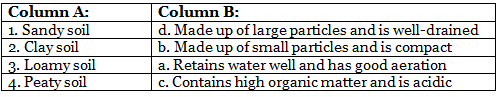 Worksheets With Solutions: Soil Class 3 Worksheet Science