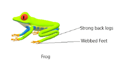 MCQ & Extra Questions: The Living Organisms - Characteristics & Habitats | Biology for Grade 9