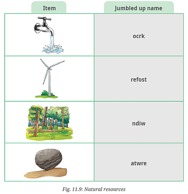 Nature`s Treasures NCERT Solutions | Science for Class 6