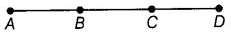 NCERT Exemplar Solutions: Geometry | Mathematics (Maths) Class 6
