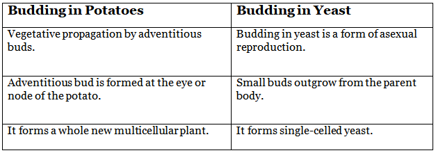 Class 7 Science Chapter 8 Question Answers - Reproduction in Plants