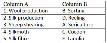 Worksheets With Solutions: Fibre to Fabric Class 5 Worksheet EVS