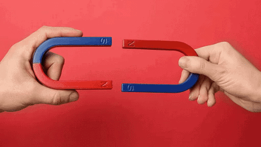 NCERT Summary: Exploring Magnets | Science for Class 6
