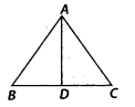 NCERT Exemplar Solutions: Triangles | Mathematics (Maths) Class 7 (Old NCERT)
