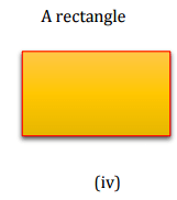 NCERT Solutions for Class 8 Maths - Visualising Solid Shapes- 2