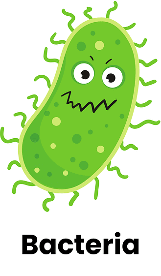 Microorganisms Chapter Notes | IGCSE Cambridge Science for Year 6 - Class 6