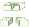 NCERT Solutions for Class 8 Maths - Visualising Solid Shapes- 2