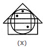 Practice Questions: Dot Situation | Science Olympiad Class 6