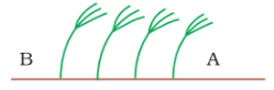 NCERT Exemplar Solutions: Winds, Storms & Cyclones | Science Olympiad Class 7