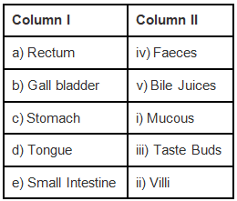 NCERT Exemplar Solutions: Nutrition in Animals | Science Class 7