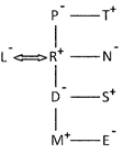 Practice Questions: Blood Relations | Science Olympiad Class 6