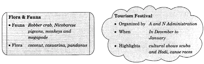 The Emerald Islands NCERT Solutions | Communicative English for Class 10