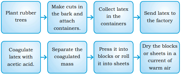 Promise For The Future: Renewable Energy NCERT Solutions | Communicative English for Class 10