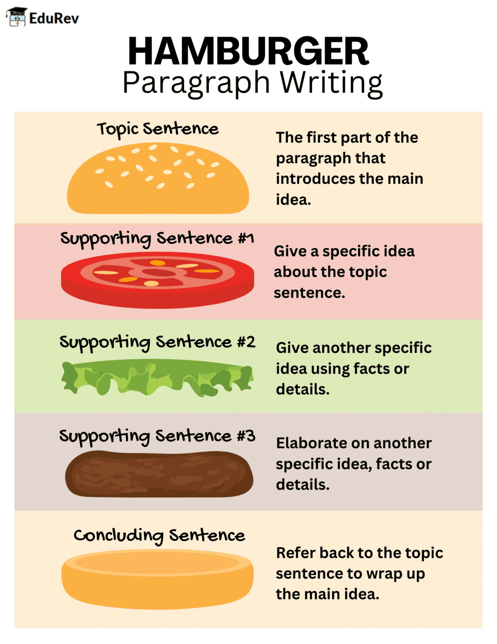 Infographic: Paragraph Writing | English Grammar Advanced - Class 10