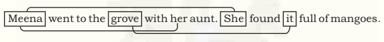 Avoiding Repetition NCERT Solutions | English Grammar (Communicative) Interact In English Class 10