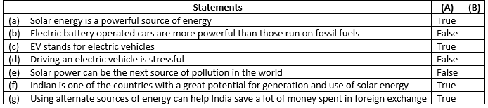 Promise For The Future: Renewable Energy NCERT Solutions | Communicative English for Class 10