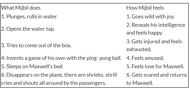 NCERT Solutions: Mijbil the Otter