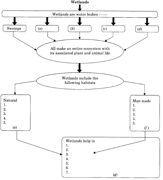 Treading the Green Path- Towards Preservation NCERT Solutions | Communicative English for Class 10