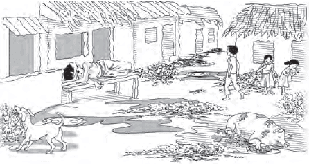 Examples: Letters To The Editor | English Grammar Advanced - Class 10