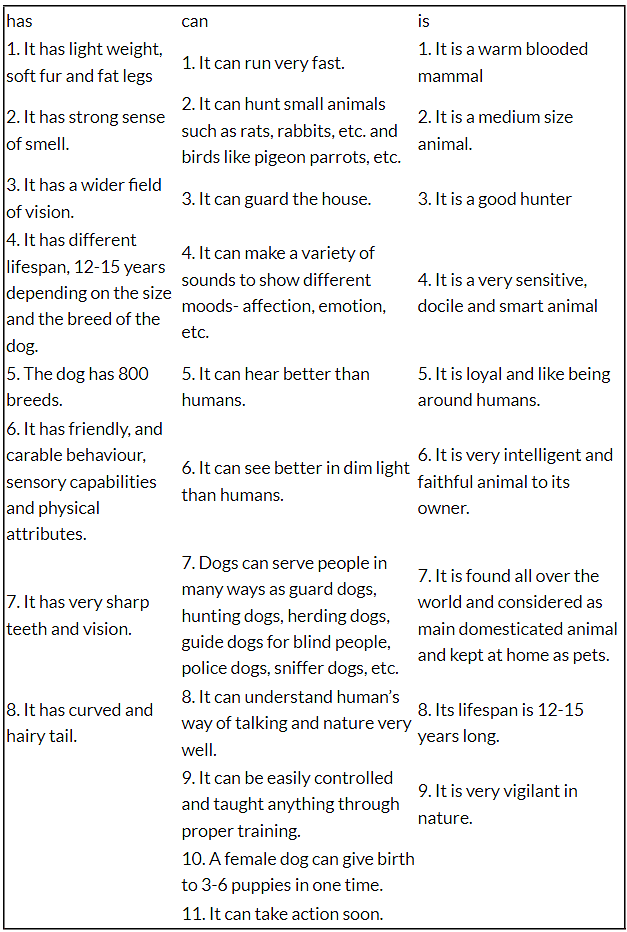 NCERT Solutions: Mijbil the Otter