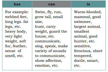 NCERT Solutions: Mijbil the Otter