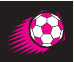 Les Loisirs et Les Sports NCERT Solutions | French for Class 9
