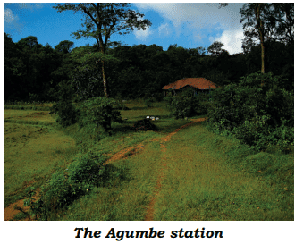 Treading the Green Path- Towards Preservation NCERT Solutions | Communicative English for Class 10