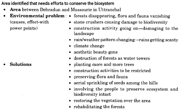 Heroes of the Environment NCERT Solutions | Communicative English for Class 10