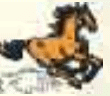 Non Finites NCERT Solutions | English Grammar (Communicative) Interact In English Class 10