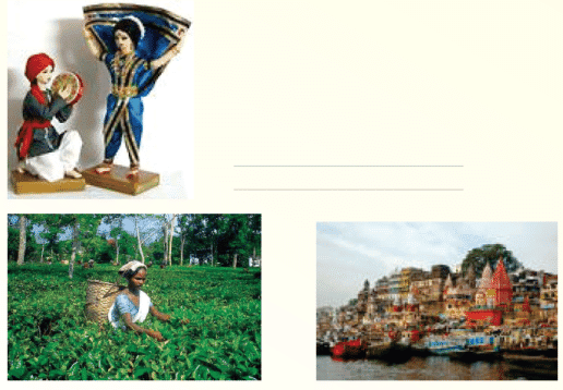 Unity in Diversity NCERT Solutions | Communicative English for Class 10