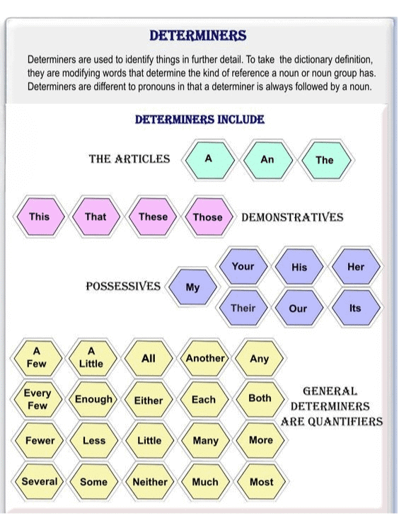 Infographic: Determiners | English Grammar Advanced - Class 10