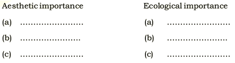 Geological Heritage NCERT Solutions | Communicative English for Class 10