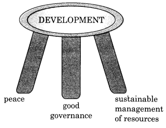 Heroes of the Environment NCERT Solutions | Communicative English for Class 10