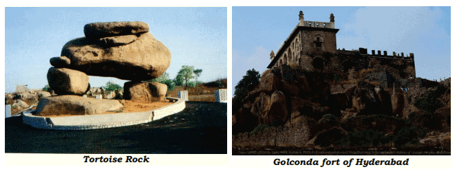 Geological Heritage Chapter Notes | Communicative English for Class 10