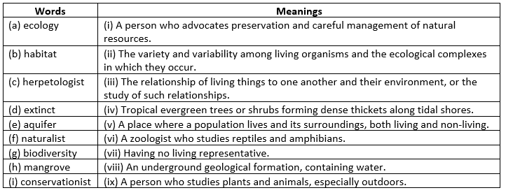 Heroes of the Environment NCERT Solutions | Communicative English for Class 10