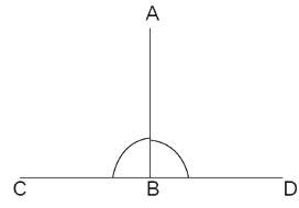 NCERT Exemplar Solutions: Introduction to Euclid`s Geometry | Mathematics (Maths) Class 9