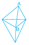 NCERT Exemplar Solutions: Visualising Solid Shapes | Mathematics (Maths) Class 8