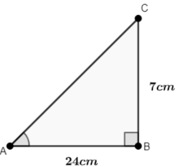 Class 10 Maths Chapter 8 Important Question Answers - Introduction to Trigonometry