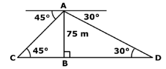 Math Past Year Paper with Solution - 2020, Class 10 - (Basic) | Mathematics (Maths) Class 10