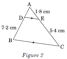 Math Past Year Paper with Solution - 2019, Class 10 | Mathematics (Maths) Class 10